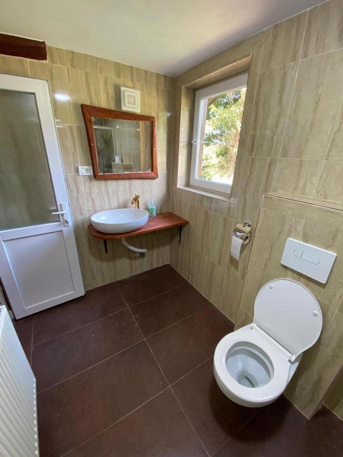 Pensiunea Casa Zmeilor Dragus Екстер'єр фото
