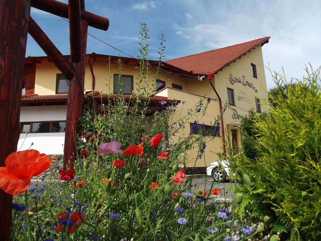 Pensiunea Casa Zmeilor Dragus Екстер'єр фото